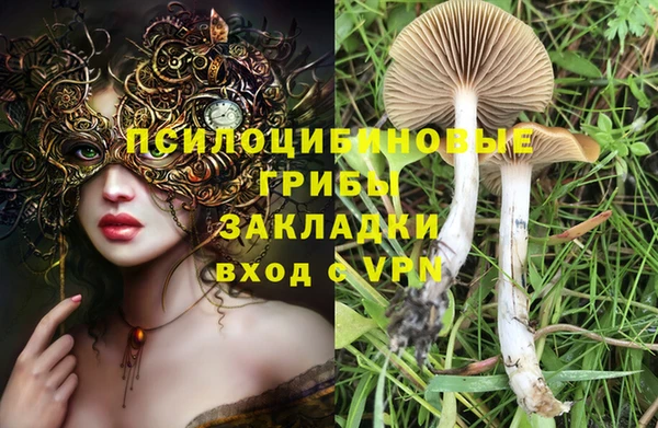 мет Вяземский