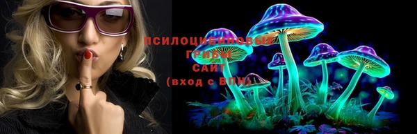 мет Вяземский