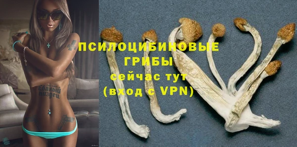 мяу мяу мука Гвардейск