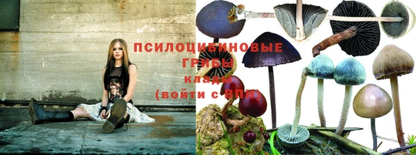 меф VHQ Весьегонск